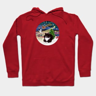 "Christmas Magic" with a Black and White Tuxedo Cat Hoodie